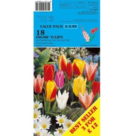 Tulips Kauf Peacock Mix - 18 Bulbs