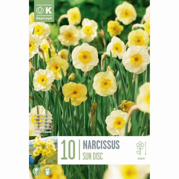 Narcissus Sundisc - 10 Bulbs