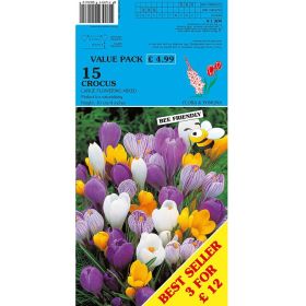 Crocus Large Flowering Mix - 15 Bulbs