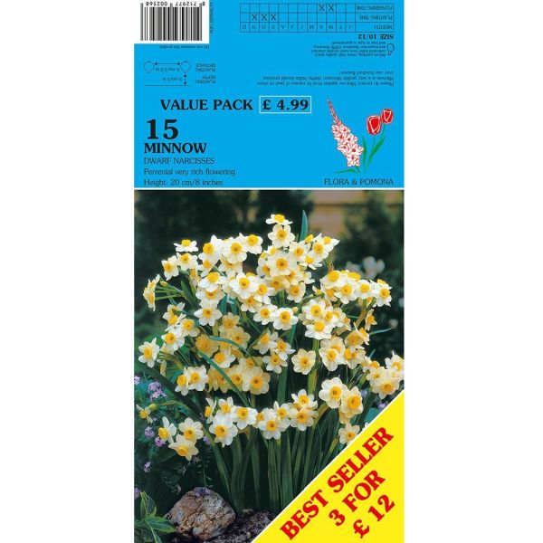 Narcissus Minnow - 15 Bulbs