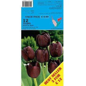 Tulips Queen Of The Night - 12 Bulbs