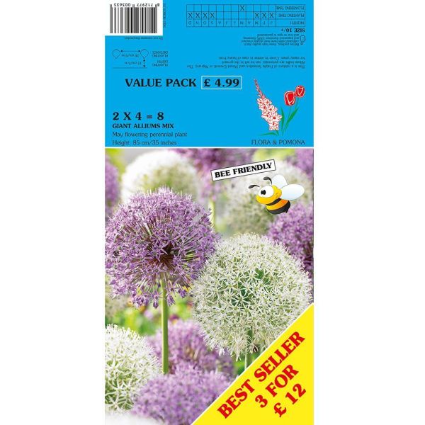 Allium Duo Purple & White - 8 Bulbs