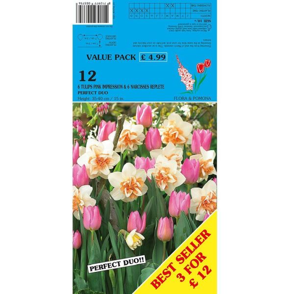Narcisissus Replete & Pink Impression - 6 Bulbs