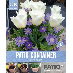 Tulips & Anemone - Patio Container Set - 20 Bulbs