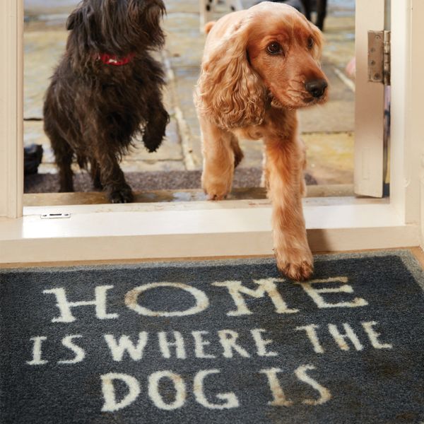 Home 2 50cm X 75cm Doormats Squires Garden Centres