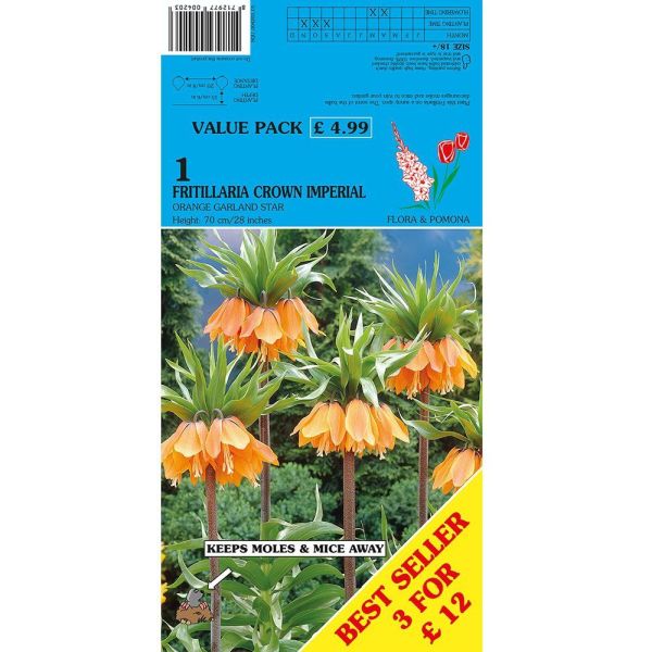 Fritillaria Crown Imperial Orange Star - 1 Bulb