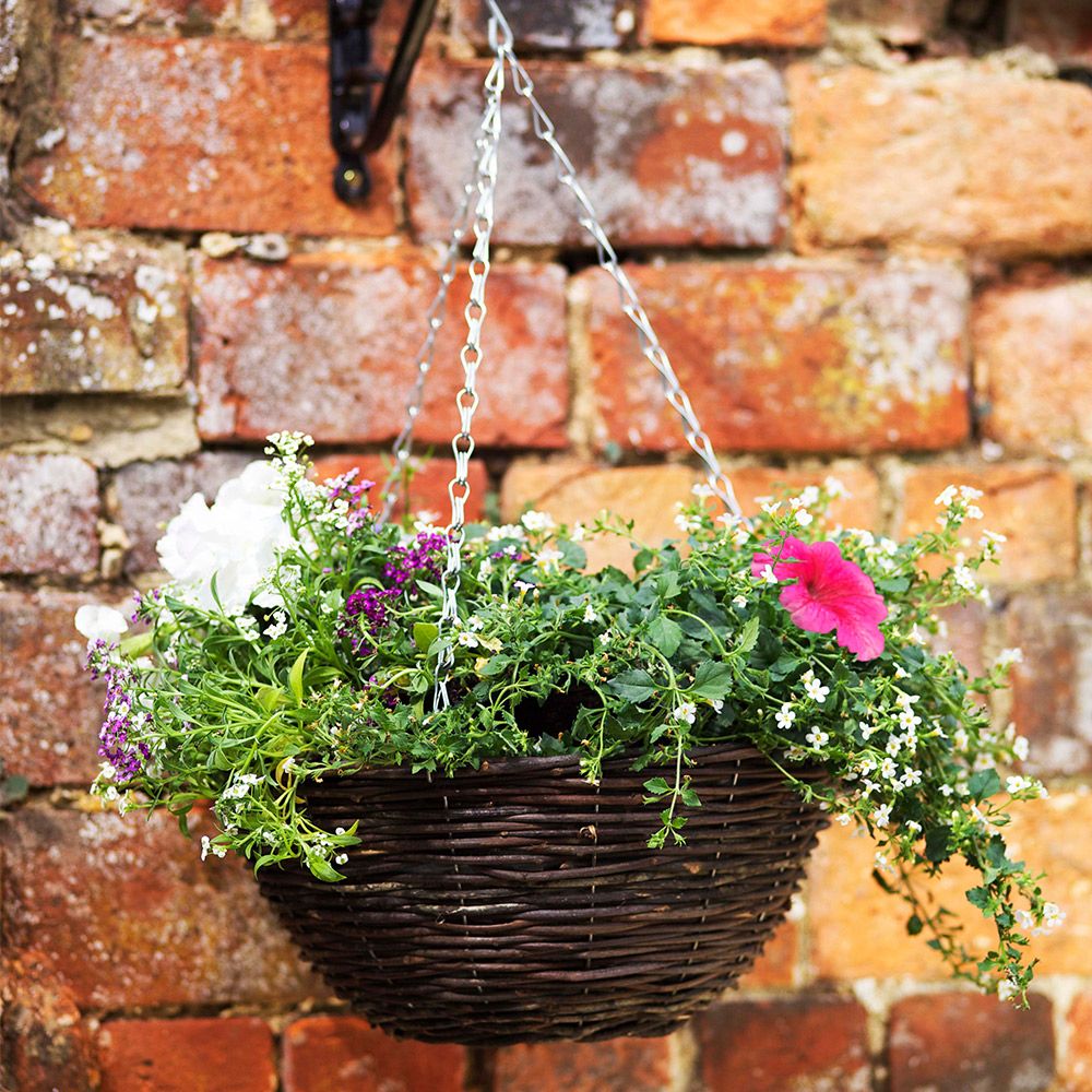 Rattan Hanging Basket 12 Inches Wall Pots & Hanging Baskets Squire