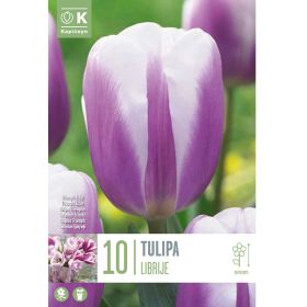 Tulip Librje - 10 Bulbs