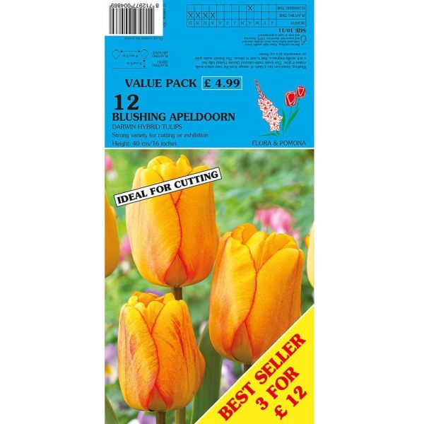 Tulips Blushing Apeldoorn - 12 Bulbs