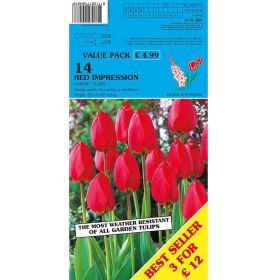 Tulips Red Impression - 14 Bulbs