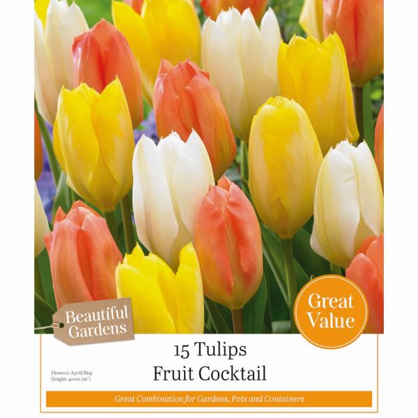 Fruit Cocktail Tulips - 15 Bulbs