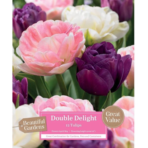 Tulips Double Delight - 12 Bulbs