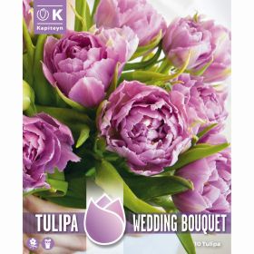 Tulip Wedding Bouquet - 10 Bulbs