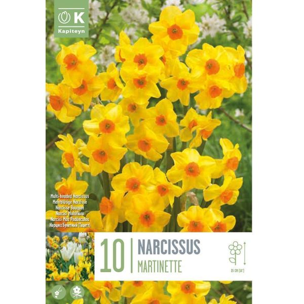 Narcissus Martinette - 10 Bulbs