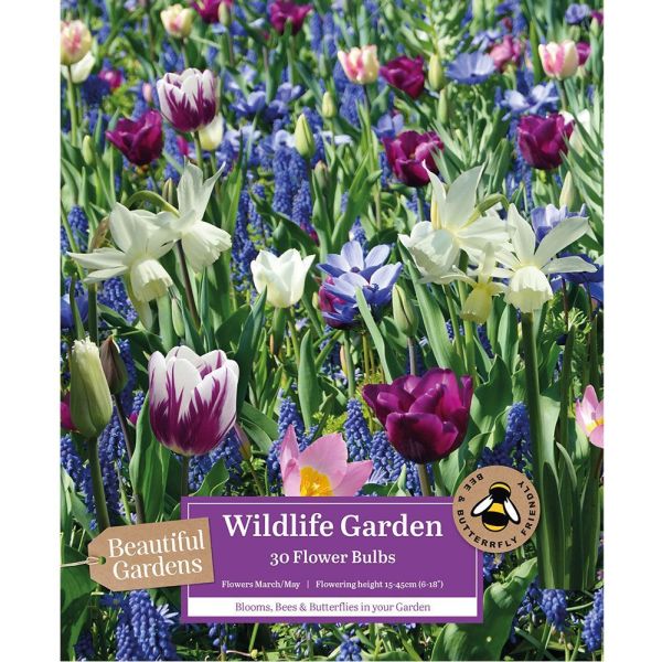 Wildlife Garden Blue Shades - 30 Bulbs