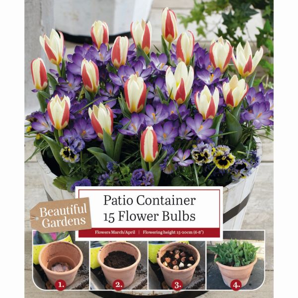 Patio Container Mix - Tulips & Crocus - 15 Bulbs