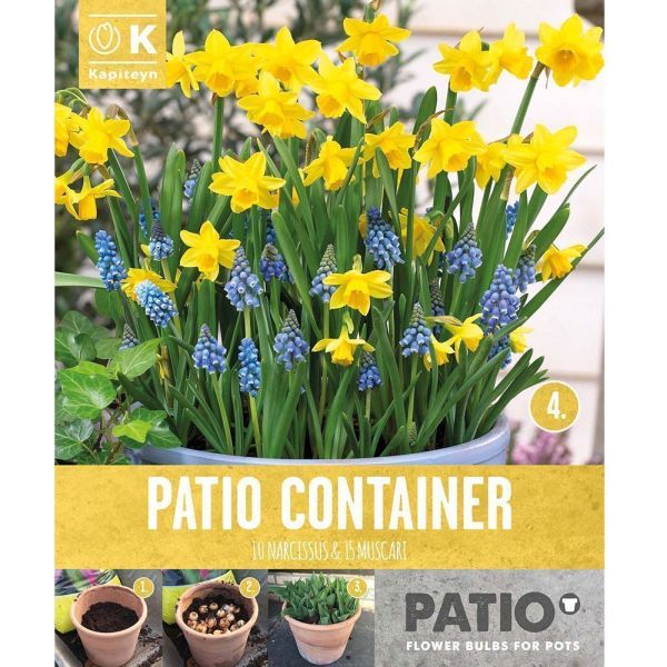 Narcissus & Muscari - Patio Container Set - 20 Bulbs