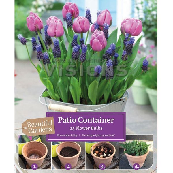 Patio Container Mix - Tulips & Muscari - 15 Bulbs