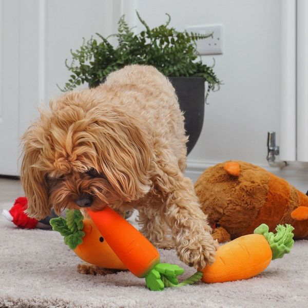 Petstages Carrot Stuffer Dog Toy, Medium