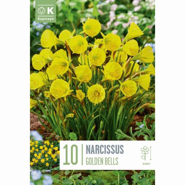 Narcissus Golden Bells - 10 Bulbs