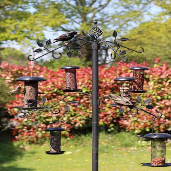 Decorative Bird Feeding Station: Elevate Your Outdoor Experience