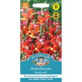 Antirrhinum 'Mango Twist' Seeds