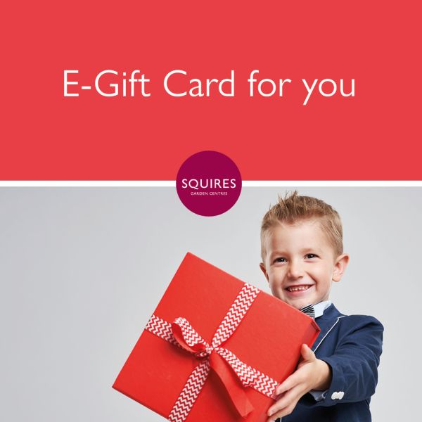 E-Gift Card