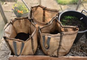 Growing Potatoes in Grow Bags from Planting to Harvest - Squire's