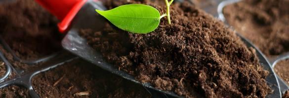 Compost, Soil, Bark & Manure