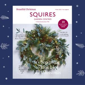 Read our Beautiful Christmas Magazine